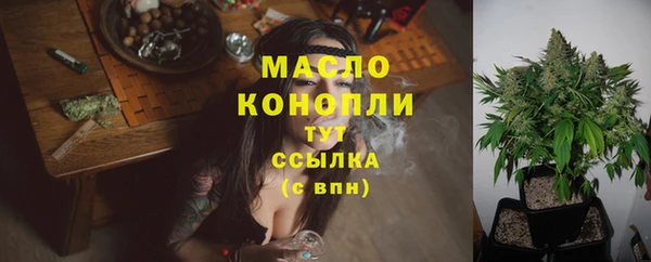 apvp Инта