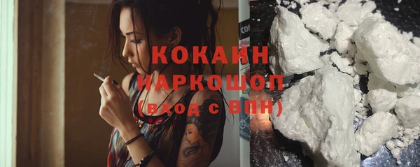 apvp Инта