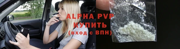 apvp Инта