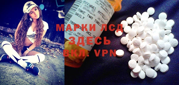 apvp Инта