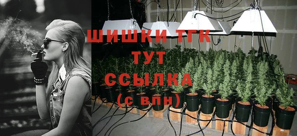 apvp Инта