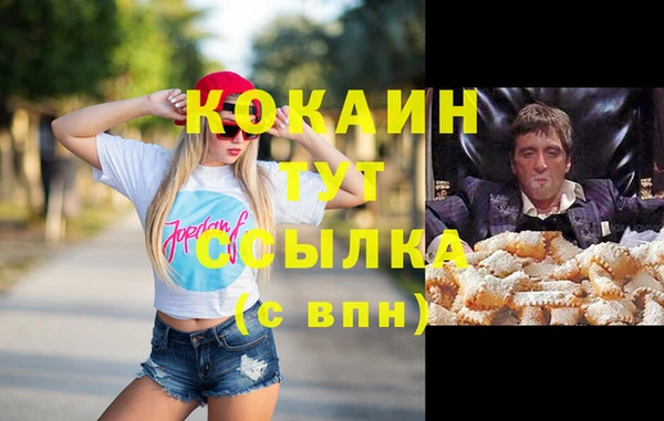 apvp Инта