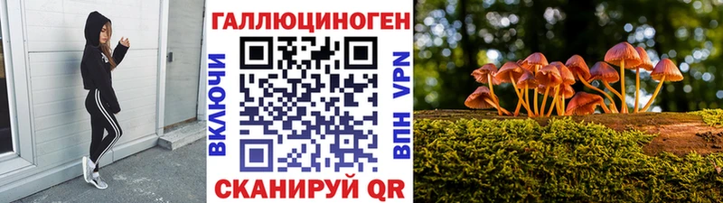 Галлюциногенные грибы GOLDEN TEACHER  Купить где  Знаменск 
